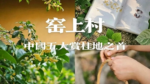江南寻香记||10.17/10.18窑上村轻徒步赏桂，探秘石壁禅寺，邂逅太湖小洱海（转发/多人同行优惠20元/人）
