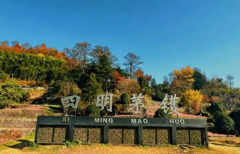 秋染四明||11.7经典赏秋路线，从茅镬--字丰村--柿林村--李家坑，徒步山间小道探秘静谧古村（转发/多人同行有优惠）