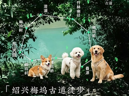 10/17日周六|宠物团 治愈系翡翠秘境-梅坞古道