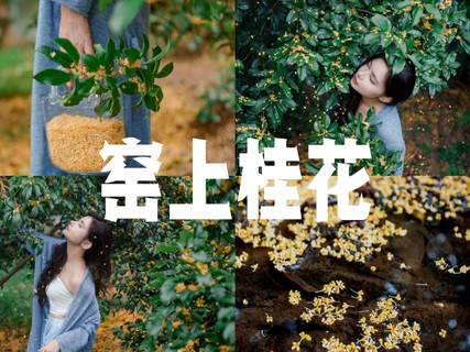 10/18日周日|【窑上村桂花香满村】错过等一年