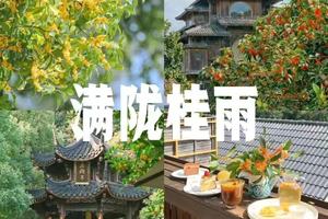 10/17日周六|【顶流回归！正是桂花季杭州满觉陇
