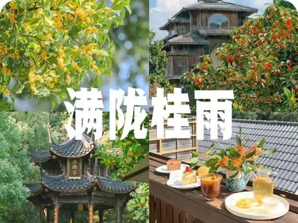 10/17日周六|【顶流回归！正是桂花季杭州满觉陇