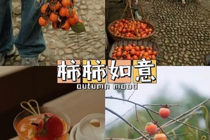 10/17日周六|【四明山柿林村】柿柿如意