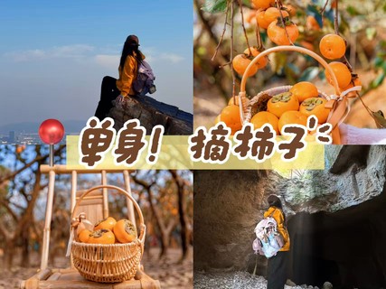 10/17日周六|【限单身！金秋摘柿子】轻徒步火山