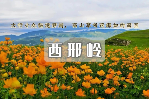 周末天天出发：西邢岭·蔚县乜门子·西邢岭·樊庄子-高山草甸风车-古村花海-漫山遍野的金莲花~