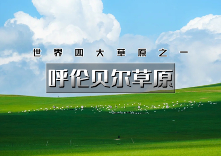 暑期7天•呼伦贝尔草原｜畅游呼伦贝尔大环线の阿尔山-呼伦贝尔草原-满洲里-额尔古纳-莫日格勒河-扎龙丹顶鹤放飞