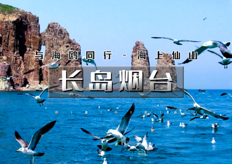 暑期4天•长岛烟台｜与海鸥同行の深度游长岛-蓬莱仙境-打卡网红养马岛-烟台渔人码头