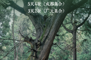 2026【千年古蜀道】国内人文徒步天花板，每一步皆是历史回响