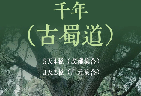2026【千年古蜀道】国内人文徒步天花板，每一步皆是历史回响