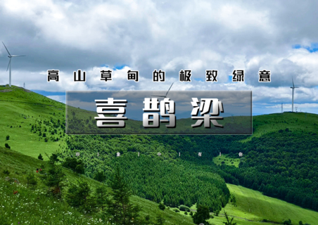 周末天天出发：喜鹊梁｜云端草甸徒步-看漫山风车牛羊