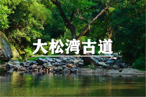 （即将成行/世上松）8月1日：特价99元！徒步大松湾，穿行水陆间，竹林爬升、瀑布打卡、攀爬涉水，解锁浙江小乌孙