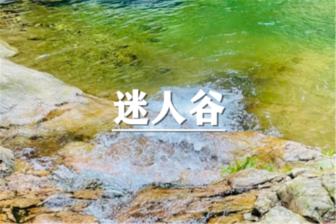 （真中桂）8月1日：特价99元！宁波交坑迷人谷徒步溯溪玩水！