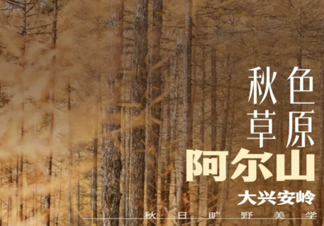 7天6晚 | 梦幻秋色阿尔山，海拉尔-恩和-黑山头-满洲里-大兴安岭-阿尔山，全程SUV