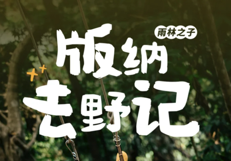 5天4晚 | 版纳去野记-雨林秘境+曼听公园+野象谷+傣族园+中科院植物园