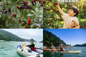 6.14 周天 桃花岕桨板摘杨梅（普通大巴车 25-49人团 4位领队）