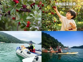 6.19 端午 桃花岕桨板+摘杨梅/李子 （普通车 24-49人团 4个领队）