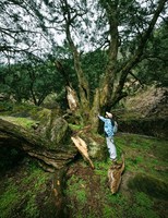 8.29 周六徒步｜诸暨·走马岗｜闯入千年香榧林