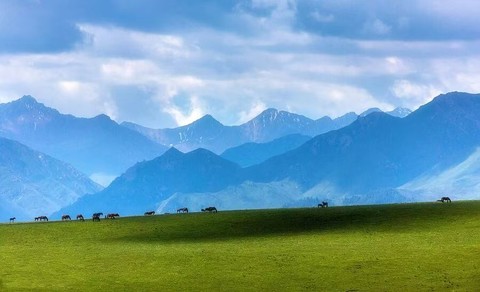 8.22、8.29 走进祁连山，多期成行，乌鞘岭-祁连山生态秘境-柴尔龙海-冰沟河-八宝河谷-汉明长城遗址-山丹军马场
