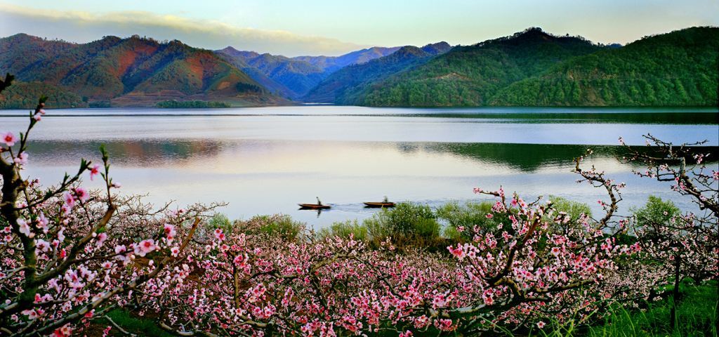 千岛湖桃花岛图片