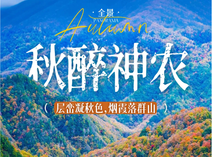 4-20人精品团秋醉神农—华中屋脊上，五天四晚一场燃烧的秋