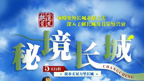2026 秘境长城 | 雁门关 野长城 杀虎口 云冈石窟 5日行程