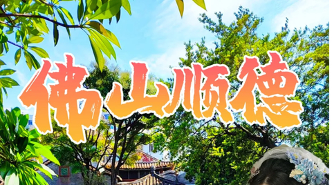 佛山顺德小周庄逢简水乡游船、广东四大名园之一清晖园摄影、华盖路步行街美食一天