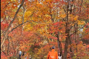 10.8号出发徒个中国·辽宁｜“枫叶之都”本溪红叶徒步，登虎山长城，观盘锦红海滩