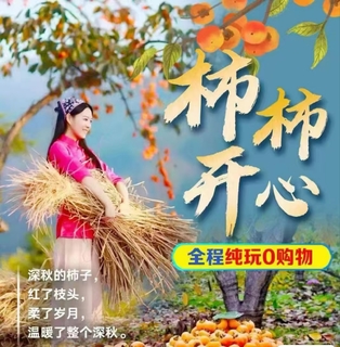 2026恭城柿子节 桂林海洋乡 阳朔风光3天游