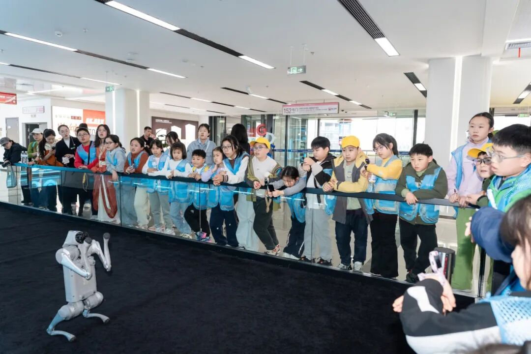 DSC08174-4476718146.jpg