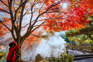 【秋假•庐山休闲游】11/14-16 慢游江西庐山一地全景3日召集