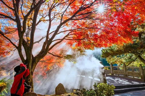 【秋假•庐山休闲游】11/14-16 慢游江西庐山一地全景3日召集