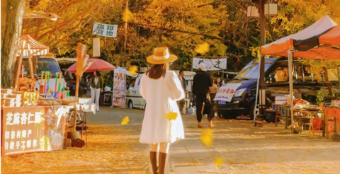 【大理腾冲•高黎贡山轻徒步】11/21-27【最佳观赏期】┃ 大理散团经典团7日