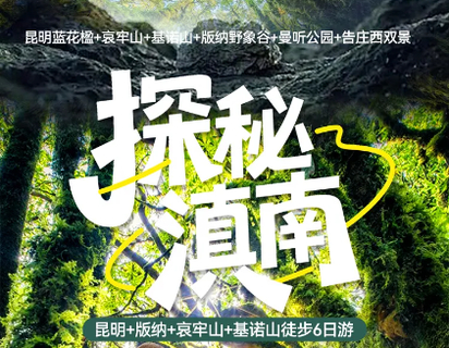滇南探秘 11.10/17/24 去昆明撒欢，探秘哀牢山，版纳风情，基诺山雨林徒步