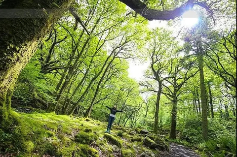 【国庆-徒步】10月3日 黄陂素山寺 探幽峡谷 徒步登山1日行