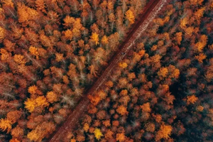 【秦岭秘境·光雾山】10月24/11月2日两期：秦岭觅秋 留坝 龙头山 黎坪 光雾山 十八月潭7日行（VIP大巴出行）