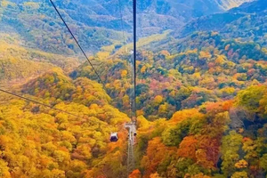 【秦岭秘境·光雾山】10月24/11月2日两期：秦岭觅秋 留坝 龙头山 黎坪 光雾山 十八月潭7日行（VIP大巴出行）