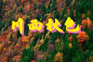 【金秋炫彩 • 川西秋色】10.17-25日 畅游九寨沟，赴约一场山水童话之旅，领略川西北彩林盛宴9日行（VIP大巴出行）