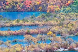 【金秋炫彩 • 川西秋色】10.17-25日 畅游九寨沟，赴约一场山水童话之旅，领略川西北彩林盛宴9日行（VIP大巴出行）