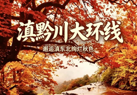 【滇黔川大环线】11月7-14日穿越三省八城，邂逅滇东北绚烂秋色双飞8日行