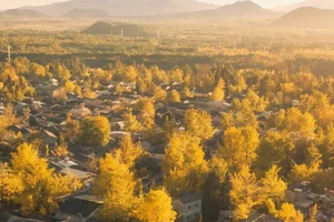 【双飞滇西全景】11月27-12月7日从腾冲银杏到独龙江再到日照金山，一次出行，走完滇西大环线精华景点双飞11日