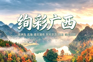 【绚彩广西●秋日限定】12月20-27日 邂逅海岛、红枫与喀斯特山水双飞8日深度之旅