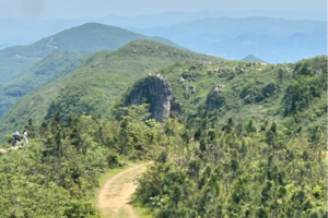 【周日•网红白马山】10.11号|湖北版“麦理浩径”徒步一日游