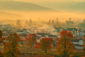 【徽州觅秋】11月13-15日篁岭晒秋+卢村+塔川秋色+文艺碧山村+宏村3日行