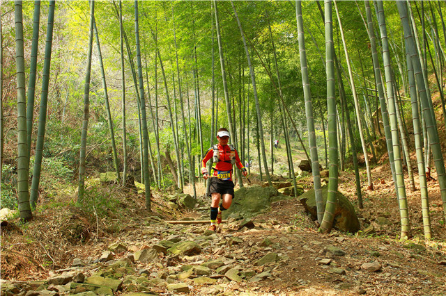 江南盛宴,即将开启—江南100km越野赛
