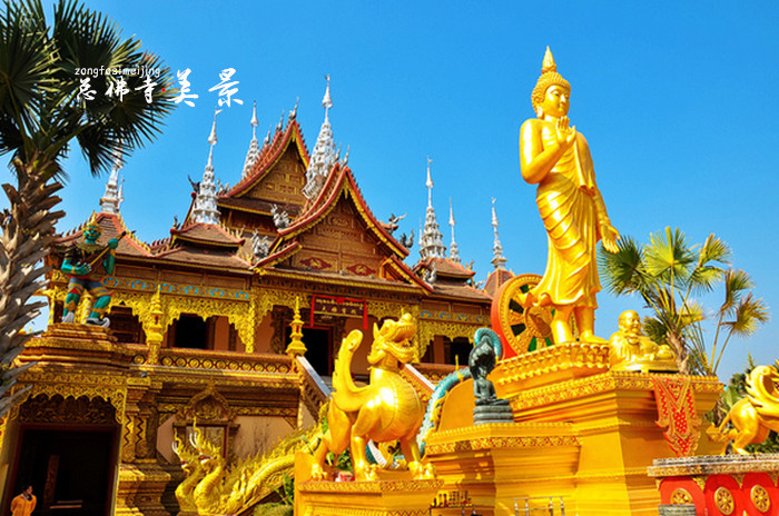 11月7--14日 云南 西双版纳 勐腊 西双版纳傣族自治州,勐腊,普洱