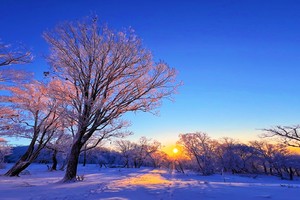 2025年11月30日（周日）张家西沟-青山云顶-落日大道-沟屯子水库登山赏雪凇