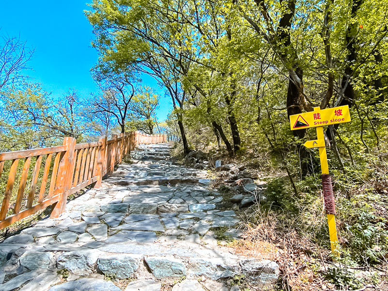 4a728482ly1gpu0pakniej20xc0p07wi (1).jpg