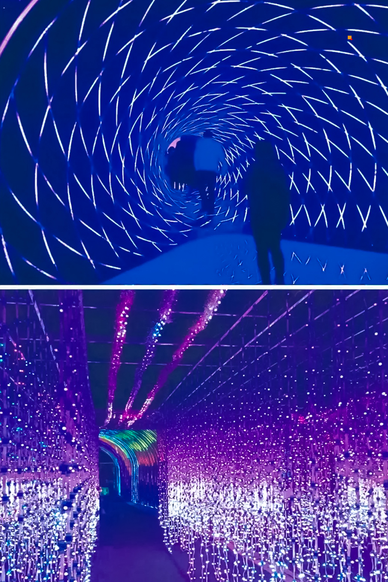 640 (7).jpg