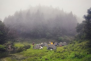 茂名鸡笼顶两天