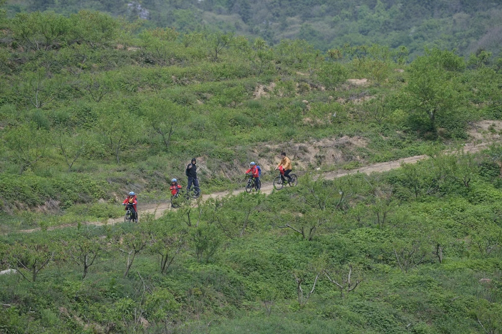 骑行知识课堂,骑行手势,骑行赛事避障,15km骑行挑战,一日独立营!